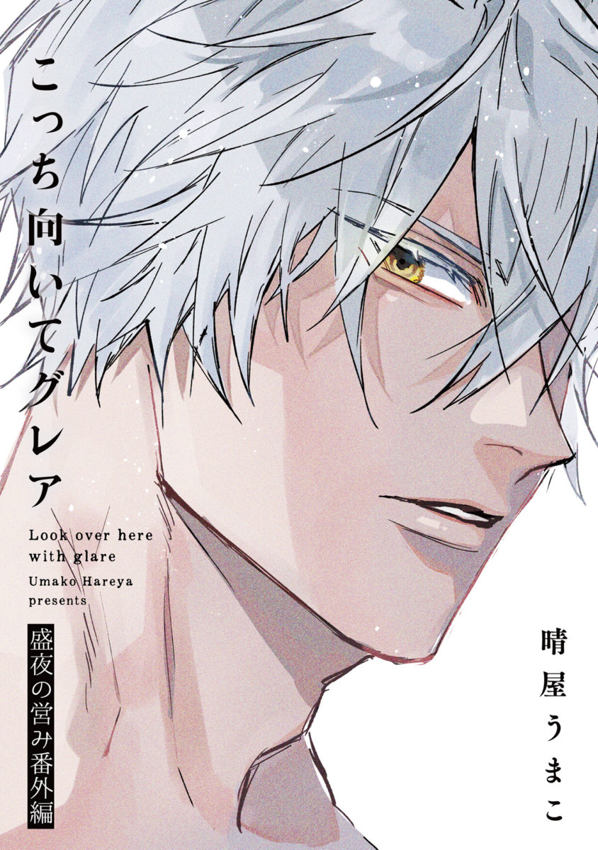 こっち向いてグレア   盛夜の営み番外編【特典小冊子電子版】